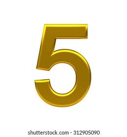 Image result for Five Examples of Computer Software