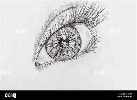Image result for Vision Pencil Drawing
