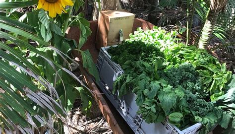 THORNLEIGH FARM - All You Need to Know BEFORE You Go 2026 (with Photos ...