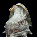 Engraved cameos, intaglios, gems replics, seashells, Judaica