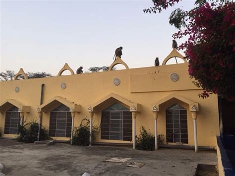 Vipassana Center (Jaipur) - 2021 What to Know Before You Go (with ...