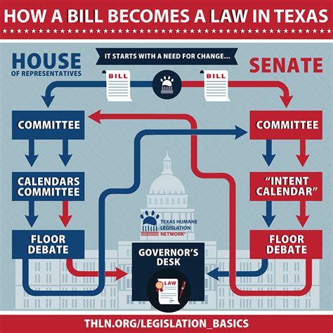 Texas Legislation 101 - Texas Humane Network