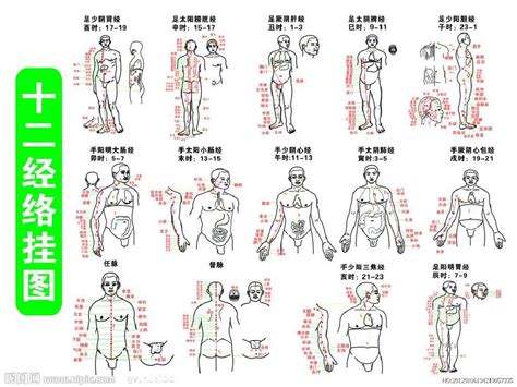 资料下载：《健康312经络锻炼法》.祝总骧.扫描版.pdf