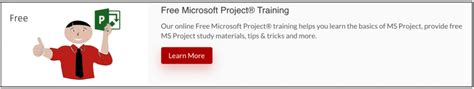Image result for MS Project Online Tutorial