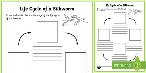 F-2 Silkworm Life Cycle Visual Aid