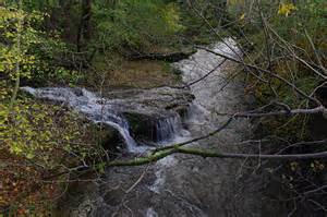 Sedgwick Insurance 的图像结果