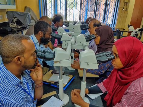 ICMR-AU Course on Cervical Cancer Screening for Pathologists organized ...