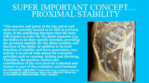 Core Strength Training 的图像结果