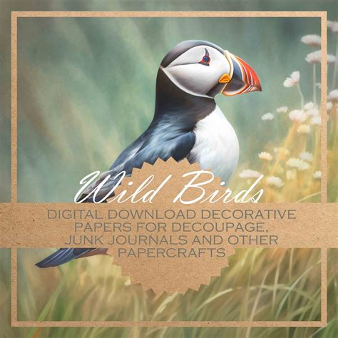 Buy Wild Birds: Decoupage Paper 12x Designs/ DIGITAL PAPERS for All ...