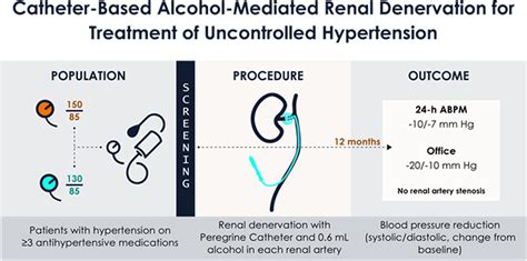 Long-Term Results up to 12 Months After Catheter-Based Alcohol-Mediated Renal Denervation for ...