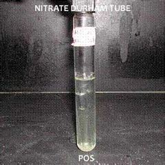 Image result for Nitrate Acid Test