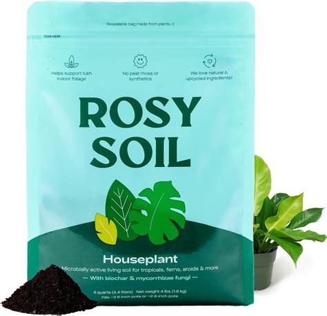 Amazon.com : Rosy Soil Indoor Potting Soil for House Plants - Organic ...