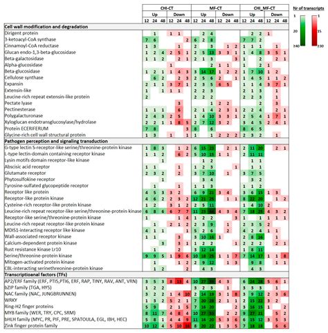Global Transcriptome Analysis of the Peach (Prunus persica) in the ...