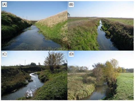 Image result for Flush Channelization