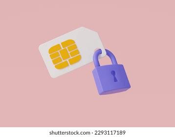 Sim Lock 的图像结果