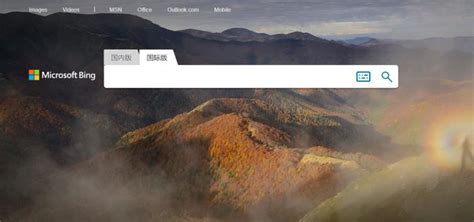 必应网 的图像结果