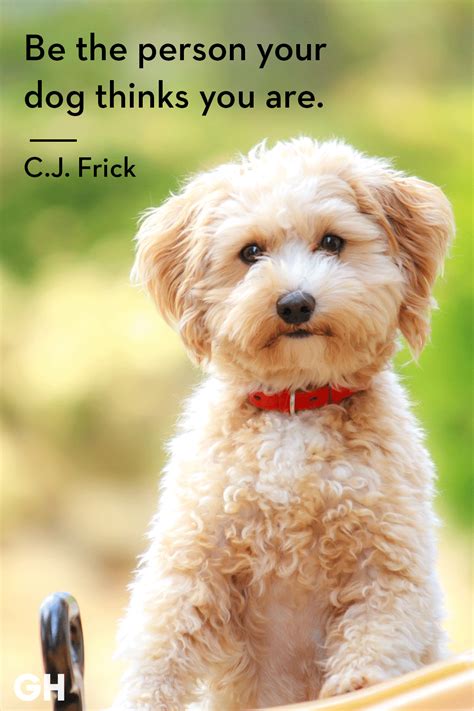 Cool Drawings of Dogs 的图像结果