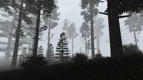 Stalker Anomaly Sound Mod 的图像结果