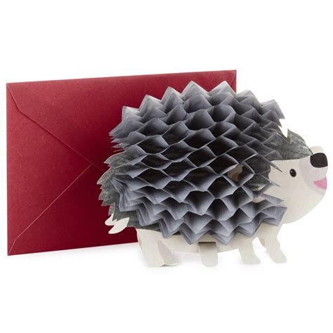 Buy Hallmark Pop Up Birthday Card (3D Honeycomb Hedgehog) Online at ...