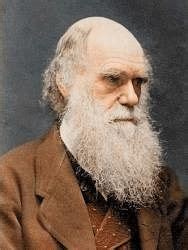 Evolution, Variations and Darwin's Theory - Biology for Grade 10 PDF ...