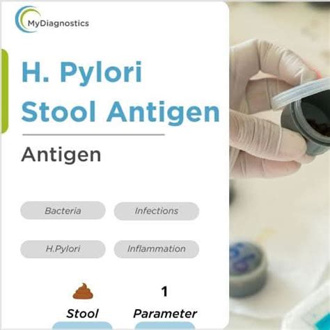 H.Pylori Stool Antigen test - Helicobacter Pylori Test at Pune ...