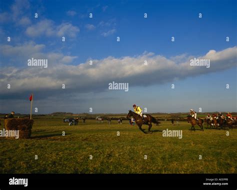 Point to Point Racing 的图像结果