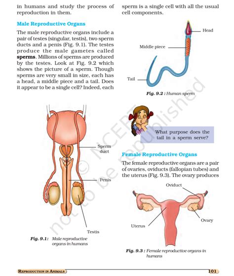 Image result for Class 8 Reproduction Chapter