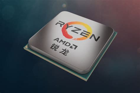 AMD活动