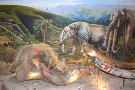 THE 10 BEST Things to Do Near Sangiran Museum and Early Man Site