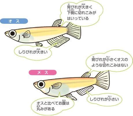 Image result for Example of Debugging Using Letters for Grade 2