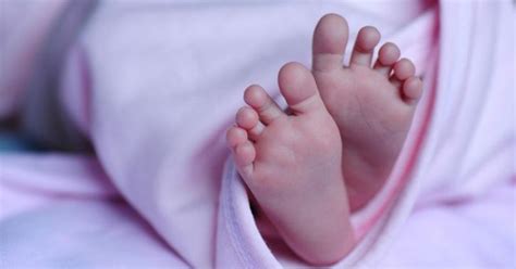 Abandoned Newborn 'Baby India' Found Struggling In Plastic Grocery Bag ...