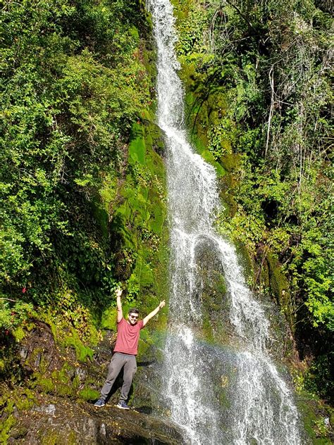 THE BEST Places to Visit in Palena (2025) - Must-See Attractions