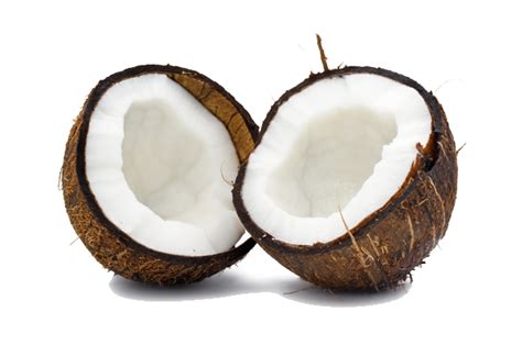 Coconut Hybridization Program 的图像结果