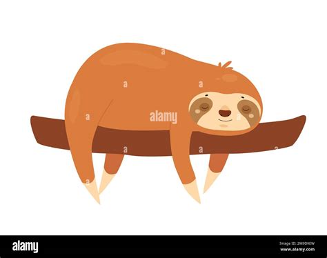 Sleeping sloth on tree branch. Jungle lazy bear, slow moving animal ...