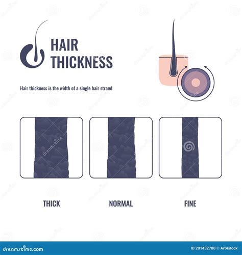 Strand Hair Thickness at Shirley Mccormick blog