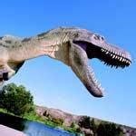 City guide: Calgary | Canadian Living