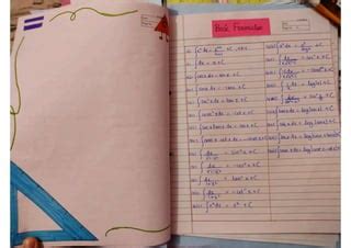 Image result for Integrals Chart Paper Class 12 Project