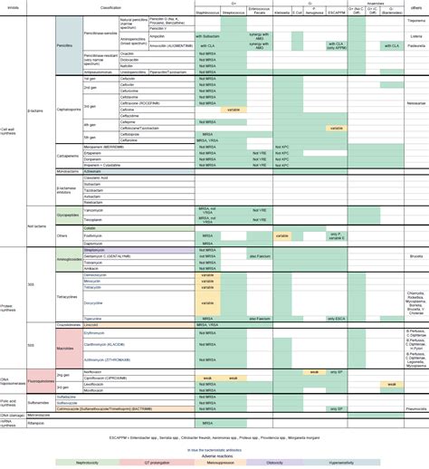 Antibiotics Coverage Chart | Portal.posgradount.edu.pe