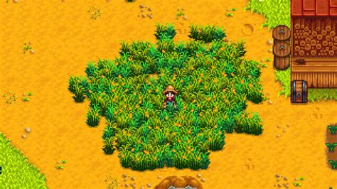 How To Get Hay In Stardew Valley - Blog - Creative Collaboration
