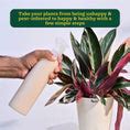Buy Premium Neem Oil for Plants : Healthy Solution for Plant Care – Ugaoo