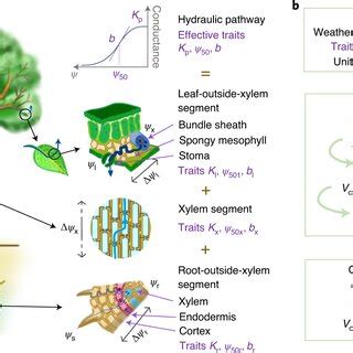 Image result for First Principles Model