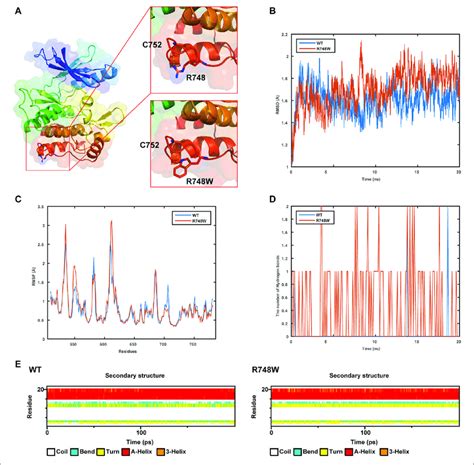 Image result for All-Atom Molecular Dynamic