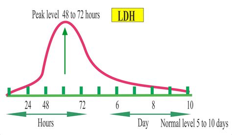 Lactate Dehydrogenase level (LDH, Lactic Dehydrogenase), Isoenzymes of ...