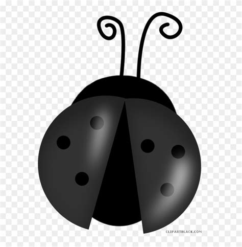 Image result for O1 Phase LiCoO2