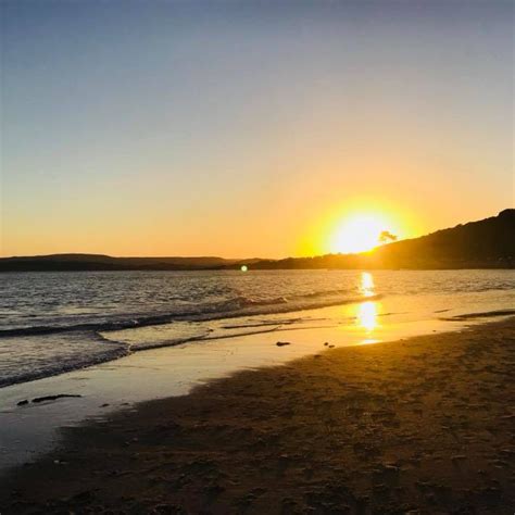 Swim in Sea 的图像结果