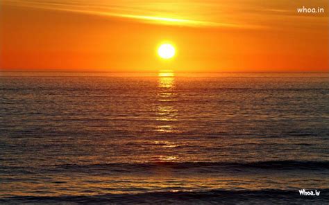 Sunshine Wallpaper For Desktop