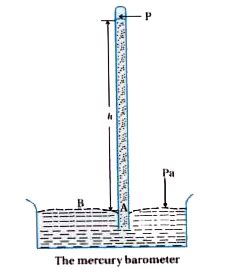 Describe mercury barometer for measurement of atmospheric pressure. OR ...