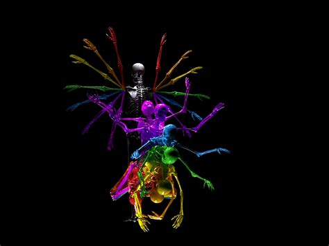 Image result for Daggerfall Skeleton GIF