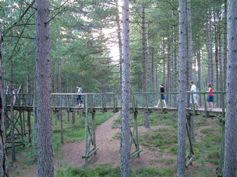 Moors Valley Country Park , bournemouth, United Kingdom - Top ...