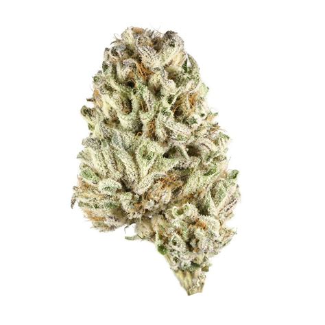 Zookies Weed Strain Information | Leafly